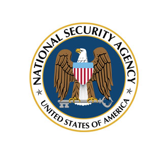 National Security Bald Eagle