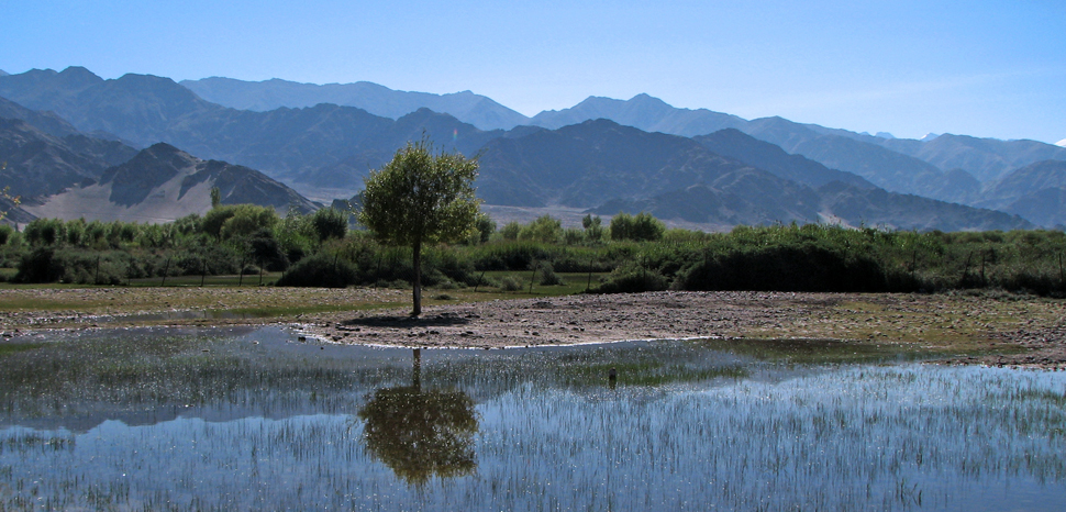 Indus Valley, cc Flickr Karunakar Rayker, modified, https://creativecommons.org/licenses/by/2.0/